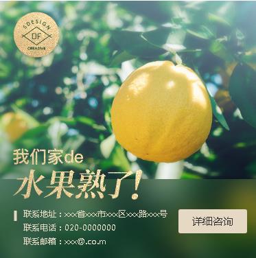 西秀果园果林小程序开发